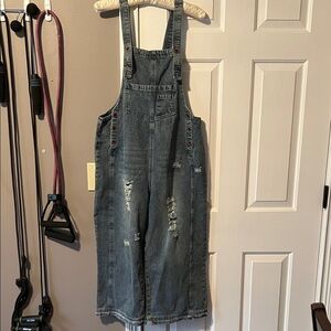 Denim Distressed Overalls
